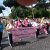 Manifestazioni  Race for the Cure 2014